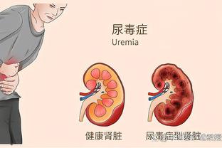 开云官网注册登录截图4